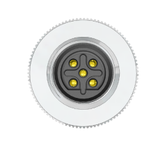M12 B Code 5 Pin Dişi Düz Konnektör - Velledq M12-BF05T