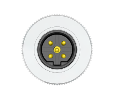 M12 B Code 5 Pin Erkek Düz Konnektör - Velledq M12-BM05T