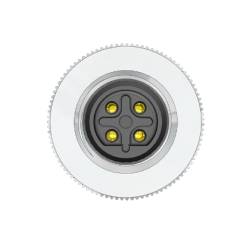 M12 B Code 4 Pin Dişi Düz Metal Konnektör - Velledq M12P-BF04T