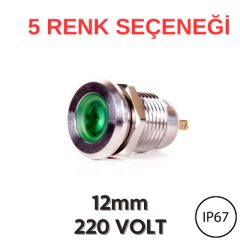 J12-170P 12mm Yassı Kafa Led Metal Sinyal Lambası (220V AC) (IP67)